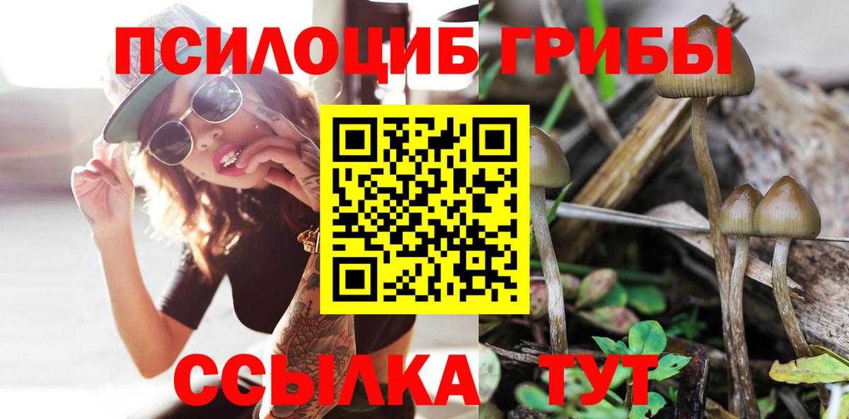 Менделеевск  Галлюциногенные грибы мицелий  Псилоцибиновые грибы мицелий  Вход с VPN 